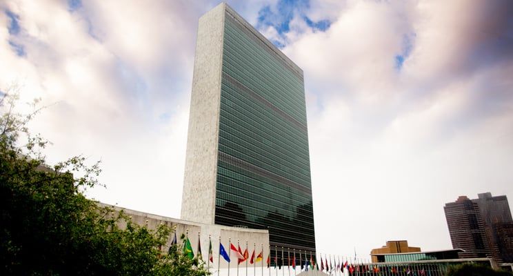 Las ONG y la ONU, Blog CEST
